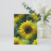 Carte Postale Fleurs de soleil (Debout devant)