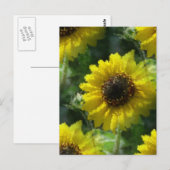 Carte Postale Fleurs de soleil (Devant / Derrière)