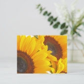 Carte Postale Fleurs de soleil (Debout devant)