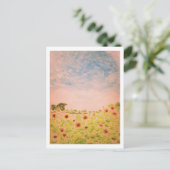 Carte Postale Fleurs de soleil (Debout devant)