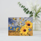 Carte Postale Fleurs de soleil (Debout devant)