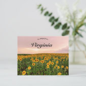 Carte Postale Fleurs de soleil en Virginie (Debout devant)