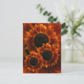 Carte Postale Fleurs de soleil fleurs sauvages (Debout devant)