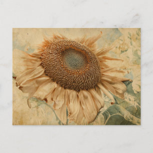 Carte Postale Fleurs de soleil géantes Jaune Vieux Découpage Vin