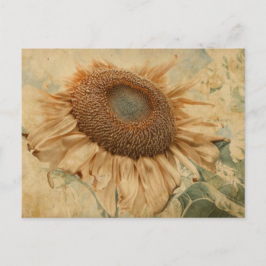 Carte Postale Fleurs de soleil géantes Jaune Vieux Découpage Vin (Devant)