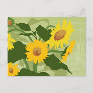 Carte Postale Fleurs de soleil illustrées