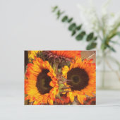 Carte Postale Fleurs de soleil orange (Debout devant)