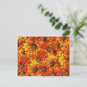 Carte Postale Fleurs de soleil orange (Debout devant)