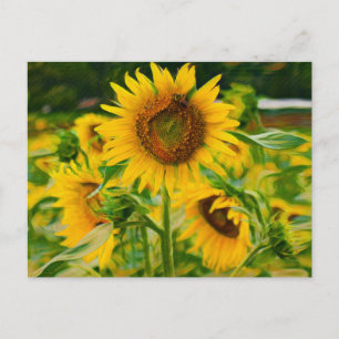 Carte Postale Fleurs de soleil peintes