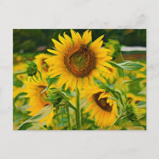 Carte Postale Fleurs de soleil peintes (Devant)
