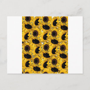 Carte Postale fleurs de soleil pétales nagent plongent marine na