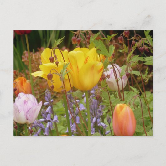 Carte Postale Fleurs De Tendance (Devant)