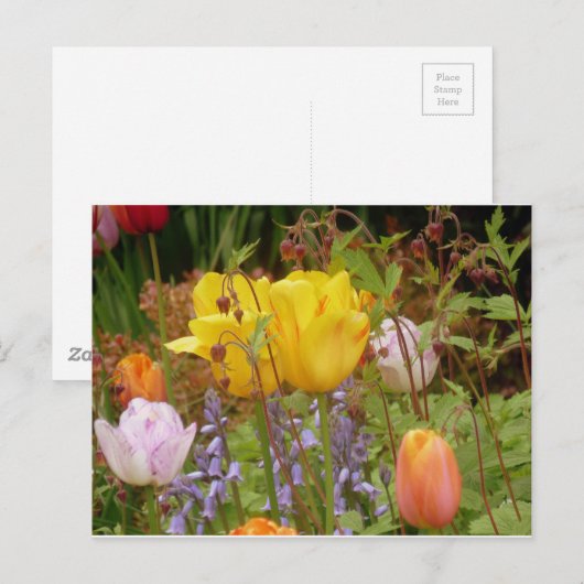 Carte Postale Fleurs De Tendances (Devant / Derrière)
