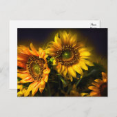 Carte Postale Fleurs de tournesol Jaune Florale, Amour, Merci (Devant / Derrière)
