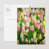 Carte Postale fleurs de tulipe (Devant / Derrière)