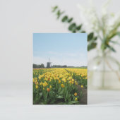 Carte Postale Fleurs de Tulipe Jaune Terrain & Windmill Holland (Debout devant)