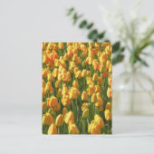 Carte Postale Fleurs de tulipe orange (Debout devant)
