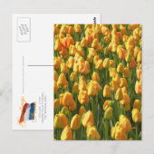 Carte Postale Fleurs de tulipe orange (Devant / Derrière)