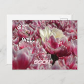 Carte postale Fleurs de tulipes blanches roses - P (Devant / Derrière)