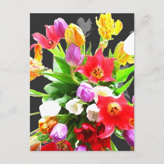 Carte Postale Fleurs de tulipes printanières (Devant)