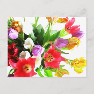 Carte Postale Fleurs de tulipes romantiques