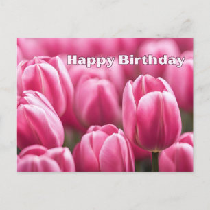 Carte Postale Fleurs de tulipes roses vibrantes pour anniversair