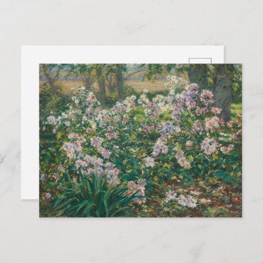 Carte Postale Fleurs de vent par Ruger Donoho Fleur sauvage de p (Devant / Derrière)