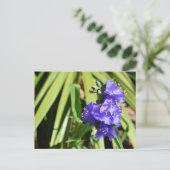 Carte Postale Fleurs de verdure vibrantes (Debout devant)