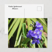 Carte Postale Fleurs de verdure vibrantes (Devant / Derrière)