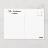 Carte Postale Fleurs de verdure vibrantes (Dos)