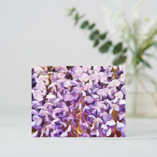 CARTE POSTALE FLEURS DE WISTERIA (Debout devant)
