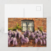 CARTE POSTALE FLEURS DE WISTERIA (Devant / Derrière)