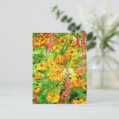 Carte Postale Fleurs d'échinacée jaune (Debout devant)