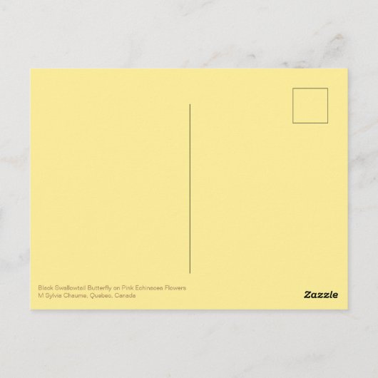 Carte Postale Fleurs d'échinacées roses à queue noire (Dos)