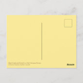 Carte Postale Fleurs d'échinacées roses à queue noire (Dos)