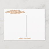 Carte Postale Fleurs d'épouvantail et d'automne à Bok Tower Gard (Dos)