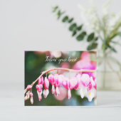 Carte Postale Fleurs des Coeurs Saignants (Debout devant)