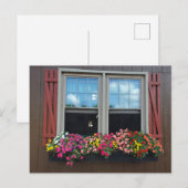 Carte Postale Fleurs d'été (Devant / Derrière)
