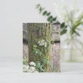 Carte Postale Fleurs d'été (Debout devant)