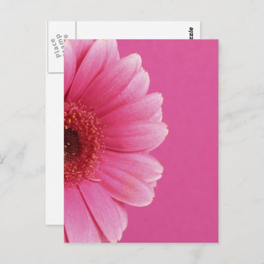 Carte Postale Fleurs d'été (Devant / Derrière)