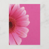 Carte Postale Fleurs d'été (Devant)