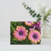 Carte postale fleurs d'été (Debout devant)