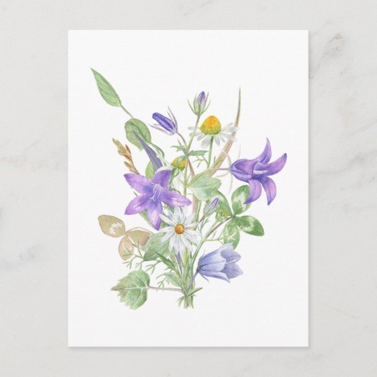 Carte Postale Fleurs d'été à l'aquarelle  (Devant)