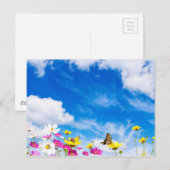 Carte Postale Fleurs d'été et ciel (Devant / Derrière)