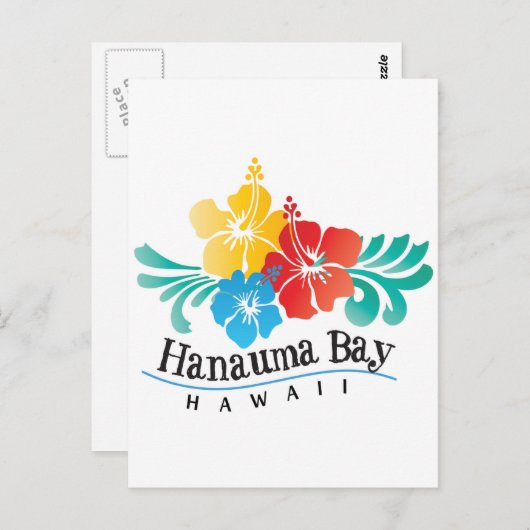 Carte Postale Fleurs d'Hibiscus d'Hawaï (Devant / Derrière)