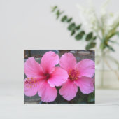 Carte Postale Fleurs d'Hibiscus roses (Debout devant)