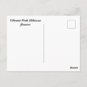 Carte Postale Fleurs d'Hibiscus roses (Dos)
