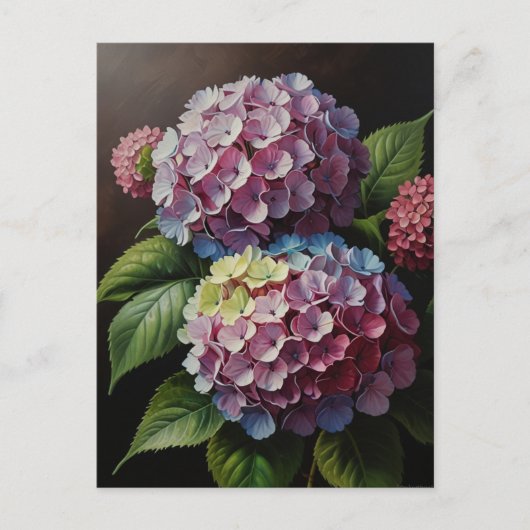 Carte Postale Fleurs d'hortensia (Devant)