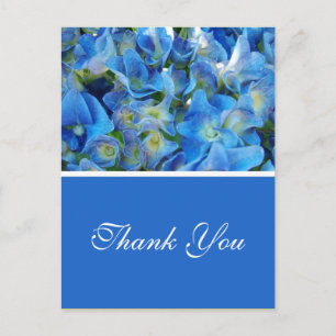 Carte Postale fleurs d'hortensia bleues merci