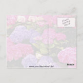 Carte Postale fleurs d'Hydrangea (Dos)